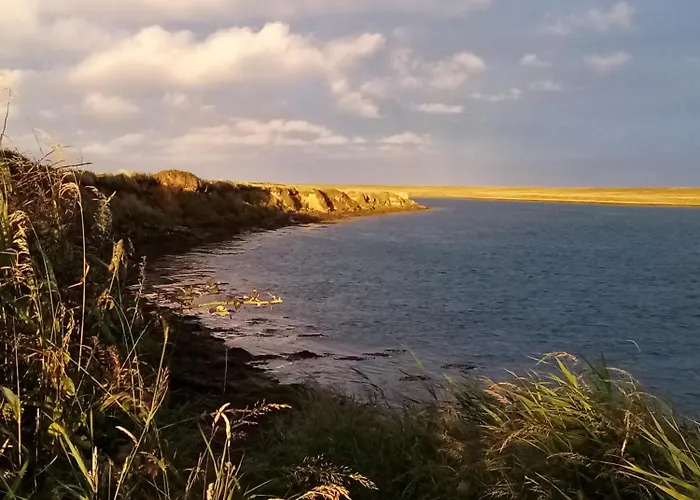 Seaview House * Carrick (Wexford)
